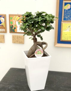 ϗtA KW} 6 XNGA v A KW}̖