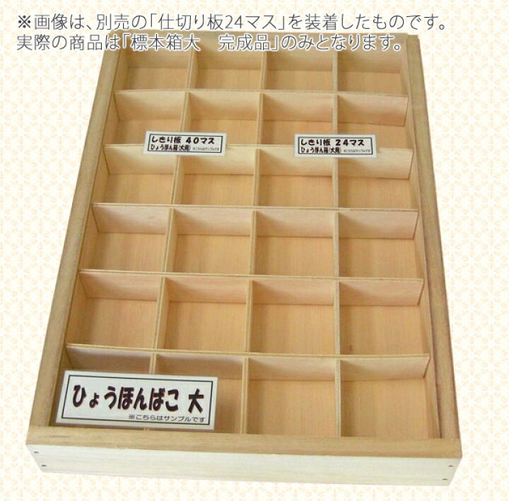 楽天市場 完成品 標本箱大 幅463 奥行325 高さ60mm きたやまオリジナル 自由研究 ディスプレイ 昆虫採集 貝殻採集 ホームセンター きたやま楽天市場店