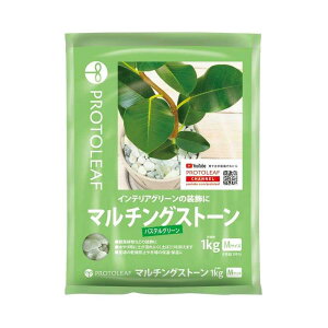 vg[t }`OXg[ pXeO[M 1kg