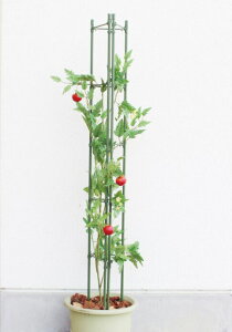 rj[ DAIM 炭 11×1200mm