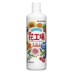 ZFw| ԍHꌴt 800ml t̔엿