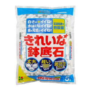 Ԃ  ꂢȔ 5L
