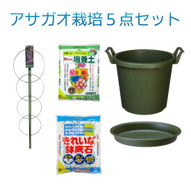 楽天市場 朝顔 鉢 栽培セット ガーデニング 農業 花 ガーデン Diyの通販 楽天市場 朝顔 鉢 栽培セット ガーデニング 農業 花 ガーデン Diyの通販