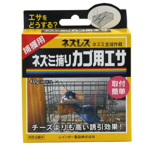 C{[i lYX lY~߂JSpGT 40g