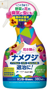 GV[Ή iNWpT[AL 380ml