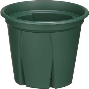 y܂Ƃߔ5ZbgzAbvEFA[ 悵 O[ 5