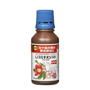 y܂Ƃߔ10{ZbgzZFw| X~`I 100ml