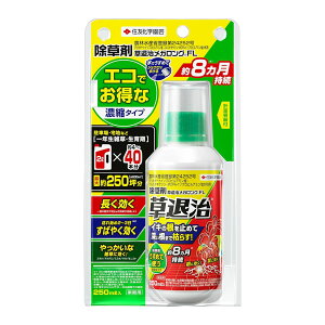 �Z�F���w���| ���ގ����K�����OFL 250ml