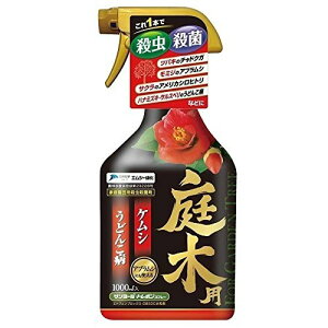 GV[Ή ؗpXv[ T[g{Xv[ 1000ml