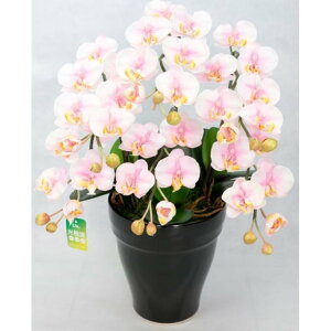 ʌR[|[V G}Ӓ y(HARUKA) isN PS3-10