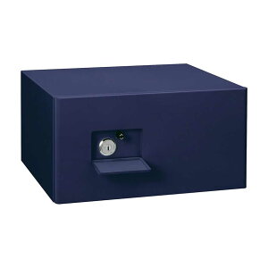 �y�����ݒu��z���{�A�C�G�X�P�C �ω΋��� MINE �l�C�r�[ �����L�[�� ���o�[�V�u����2�{�t��