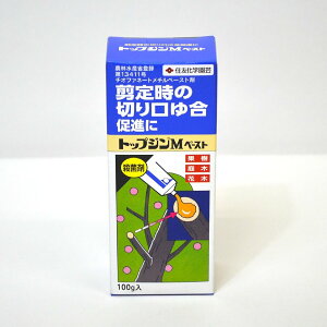 y܂Ƃߔ5{ZbgzZFw| gbvWMy[Xg 100g