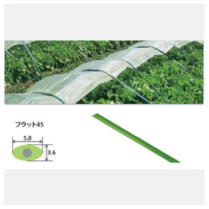 nӑׁ@gl@5{pbN@4D5×1650