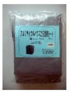 A~X 2SpւV[g 2S-SVKS