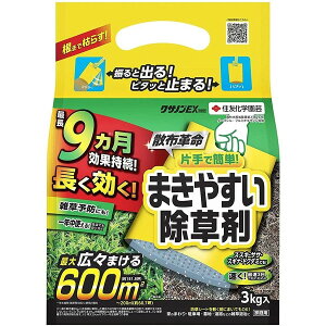 ZFw| NTmEX 3kg