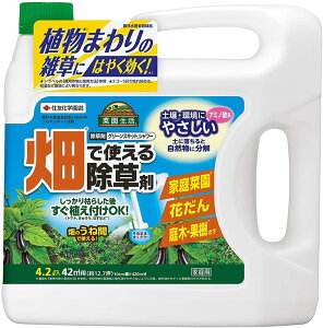 ZFw|  O[XLbgV[4.2L