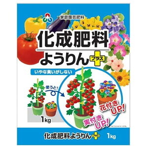 AOA 엿悤vX 1kg