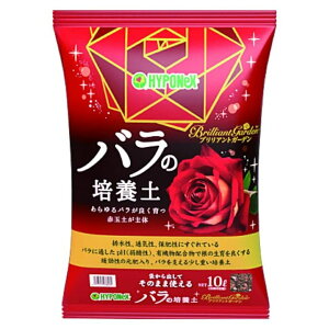 nC|lbNX uAgK[f o̔|{y 10L