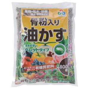 H ybg 800g