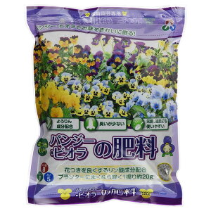 AOA pW[rI̔엿 550g
