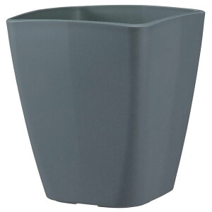 AbvEFA[ AgGXNGA 250^ _[NO[