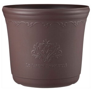 �A�b�v���E�F�A�[ �Z�V���|�b�g 35�^ �A�b�V���u���E��