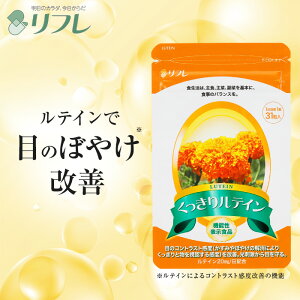 _тIeC20mgzI156~^ 胋eC 1J @\\HiTvg t[ eC t[̃eC ACPA eC ڂ₯  ty