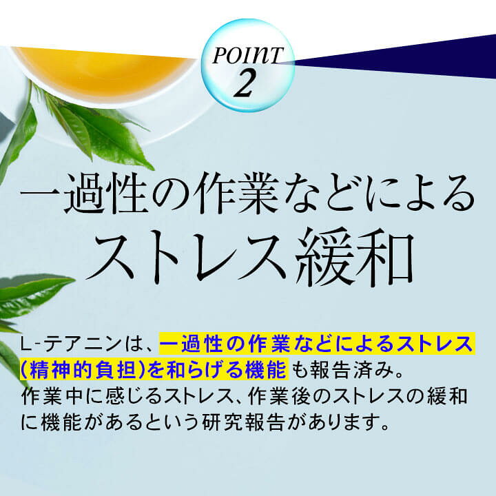 459円 ディスカウント 人気の3種類を箱詰めしたギフト向けの詰合せです 北菓楼北海道 開拓おかき 3袋詰め合わせ《枝幸帆立》《増毛甘エビ》《函館いか》×各1袋※種類の変更は出来ません北海道 お土産 取寄せ お菓子和菓子 おかき ギフト プレゼント お祝い母の日 ご挨拶 内祝い お中元 459円 ディスカウント 人気の3種類を箱詰めしたギフト向けの詰合せです 北菓楼北海道 開拓おかき 3袋詰め合わせ《枝幸帆立》《増毛甘エビ》《函館いか》×各1袋※種類の変更は出来ません北海道 お土産 取寄せ お菓子和菓子 おかき ギフト プレゼント お祝い母の日 ご挨拶 内祝い お中元