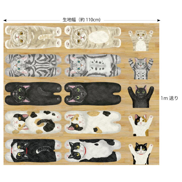 楽天市場】【メール便3個まで】HOME DECO アニマルパネル 床に寝転ぶ猫  