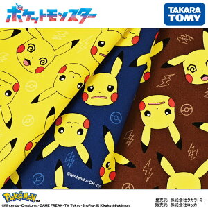 |P sJ`EtFCX IbNXn 110cm×10cmPʌv蔄 z Rbg vgy5珳܂z