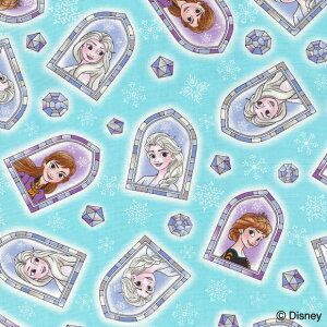 アナと雪の女王 生地の人気商品・通販・価格比較 - 価格.com