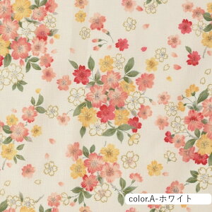 ÓTa  XPAn 110cm×10cmPʌv蔄| z Rbg vg XPA[ a a  aG W|jYy5珳܂zy[3.5m܂Łz