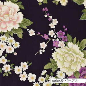 ÓTa BOTAN XPAn 110cm×10cmPʌv蔄| z Rbg vg XPA[ a a  aG W|jYy5珳܂zy[3.5m܂Łz