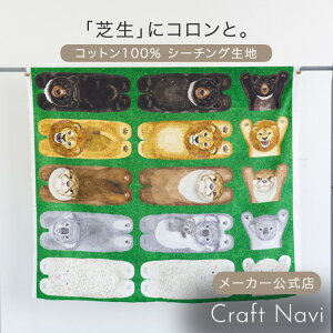 HOME DECO Aj}pl ŐɃR 108cm×100cmplJbg plPʔ̔ | z Rbg V[`O n z[fR }bg ʂ  N} JE\ CI RA r G 