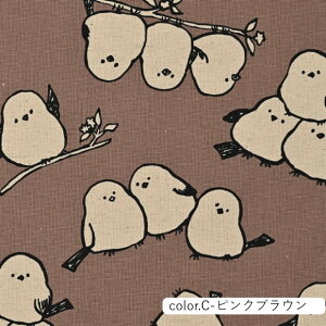 Simply Animal Monotone BirdsV}GiK ȖV[`On 110cm×10cmPʌv蔄 | Rbg vg |  nhCh  Rbgly5珳܂zy[3m