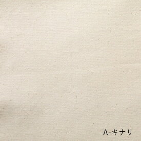 9.5号帆布 無地 NUNO TO MONO NINE.FIVE CANVAS ハンプ生地 約110cm幅×10cm単位計り売り| キャンバス 布 コットン 厚地 バッグ リュック グッズ 鞄 インテリア マルチカバー ハンドメイド 手芸 手作り【数量5個から承ります】【メール便1mまで】