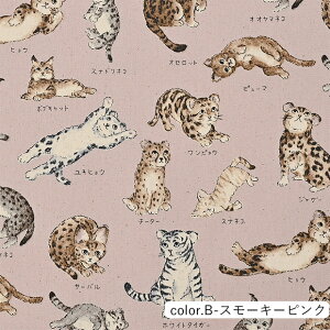 y݌Ɍ@SALEz}ӃV[Y lR} IbNXn 110cm×10cmPʌv蔄 | Rbg vg lR L |  nhChy5珳܂zy[2m܂Łz