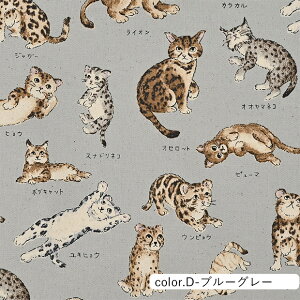 y݌Ɍ@SALEz}ӃV[Y lR} IbNXn 110cm×10cmPʌv蔄 | Rbg vg lR L |  nhChy5珳܂zy[2m܂Łz