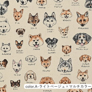 }ӃV[Y Ck} IbNXn 110cm×10cmPʌv蔄 | Rbg vg  |  nhChy5珳܂zy[2m܂Łz