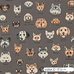 }ӃV[Y Ck} IbNXn 110cm×10cmPʌv蔄 | Rbg vg  |  nhChy5珳܂zy[2m܂Łz