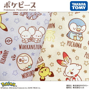 |PbgX^[ |Ps[X@@pokemon |P@sJ`E IbNXn 110cm×10cmPʌv蔄 z Rbg vgy5珳܂z