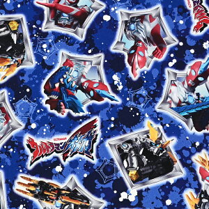 Eg}IK IbNXn ( 110cm×10cmPʌv蔄 ) | z Rbg100% { CNWFbg vg LN^[ Eg} |  nhCh B j̎q ̎q