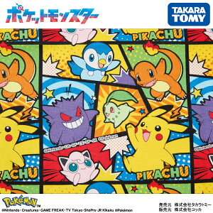 |PbgX^[ |PR~bN@pokemon |P sJ`E IbNXn 110cm×10cmPʌv蔄 z Rbg vgy5珳܂z