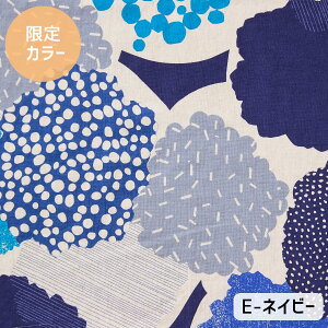 yXIʒJ[Izechino ( G`m ) `bright` ȖV[`On 110cm×10cmPʌv蔄bn z Rbg85% l15% vg { |  nhCh lu