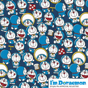 ACh TCcCn 110cm×10cmPʌv蔄| z Rbg vg В | nhCh ȃ|y5珳܂zy[2m܂Łz