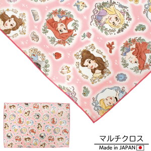 �y�f�B�Y�j�[ �v�����Z�X�z�����`�N���X �}���`�N���X �e�[�u���N���X �����`�����}�b�g �i�t�L�� ���� ���w �ʉ� �ʊw �L�����N�^�[ �O�b�Y ���ٓ� ���H ���� ���킢�� ���̎q �L�b�Y �w�Z 