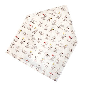 yPEANUTSzOp St ƒ K 䏊  ` K m  w ʊw LN^[ ObY 킢 j̎q ̎q q LbY wZ ct n s[ibc Xk