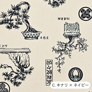 ~͕ n 8z { 100% 110cm z Rbg a Yy510cmPʁzy[1m܂Łz