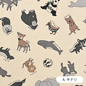 AAj}Y IbNXn { 100% 110cm z Rbg vg |  nhCh Y Hו  Aj}y510cmPʁzy[2m܂Łz