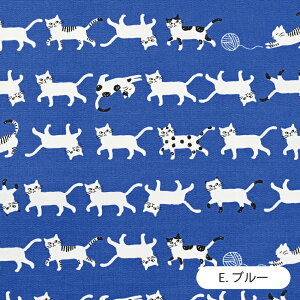 ˂ IbNXn { 100% 110cm z Rbg vg |  nhCh Y  Aj}y510cmPʁzy[2m܂Łz